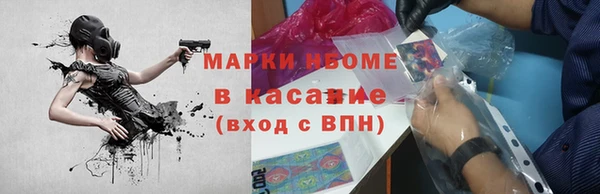 гашик Зеленокумск