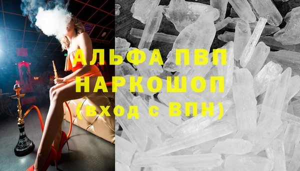 гашик Зеленокумск